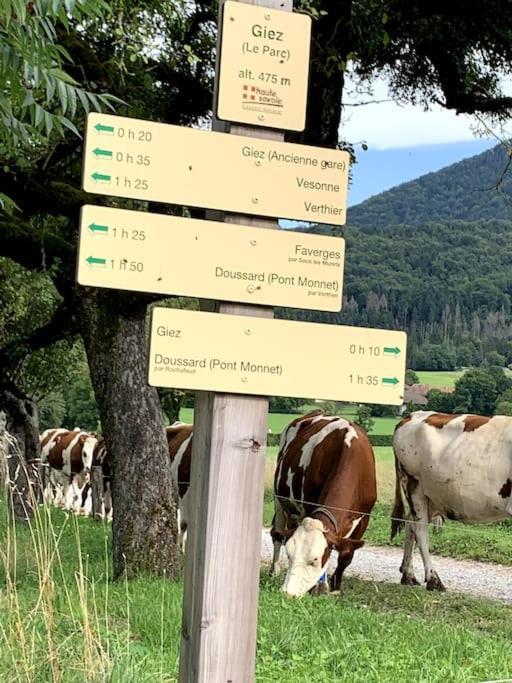 Petit cocon entre lac, golf et montagne proche d'Annecy- Séjour tout compris Giez Exterior foto
