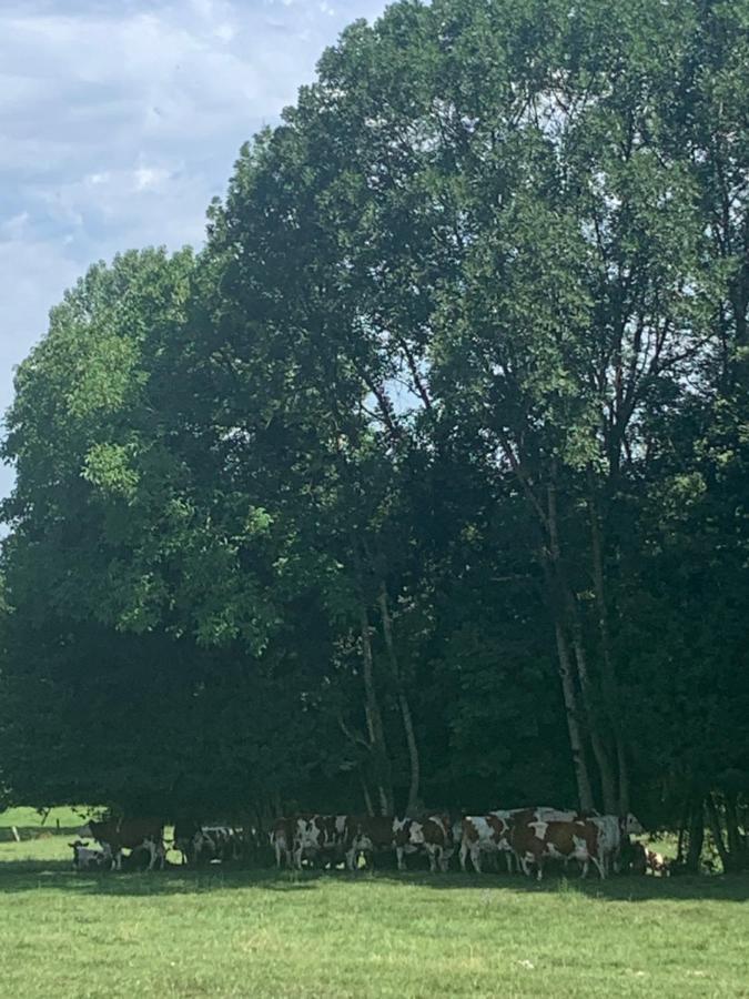 Petit cocon entre lac, golf et montagne proche d'Annecy- Séjour tout compris Giez Exterior foto